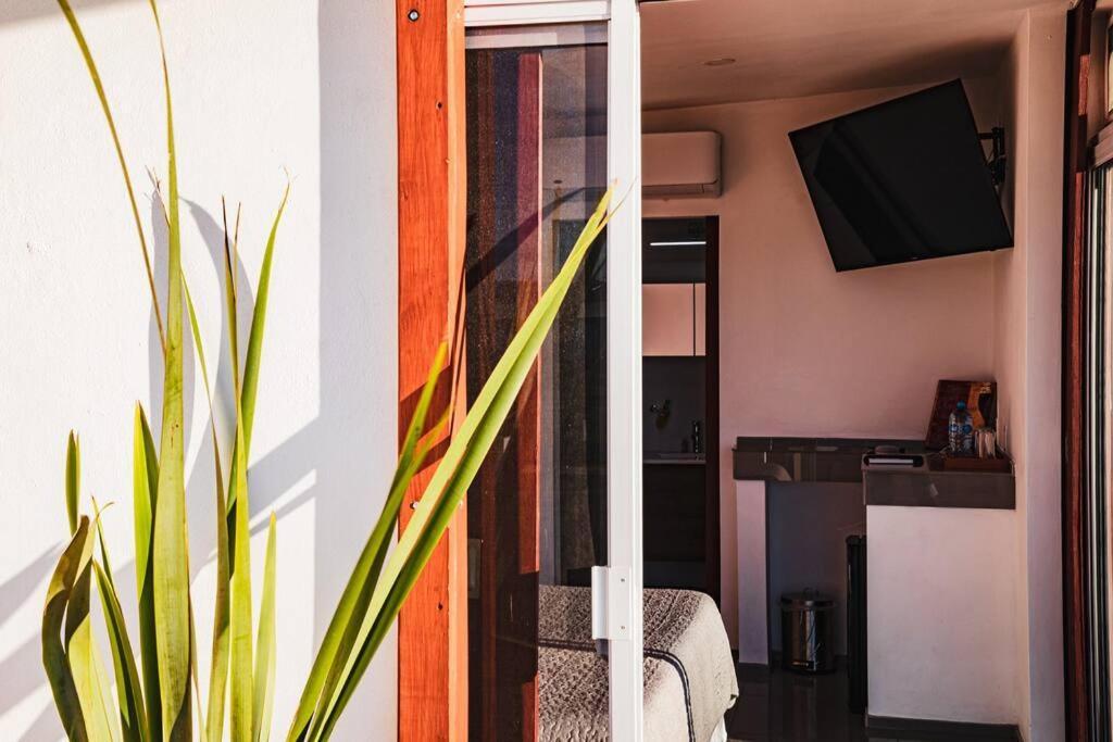 Cabana El Alamo Con Jacuzzi Villa บาเย เด กัวลาลูเป ภายนอก รูปภาพ